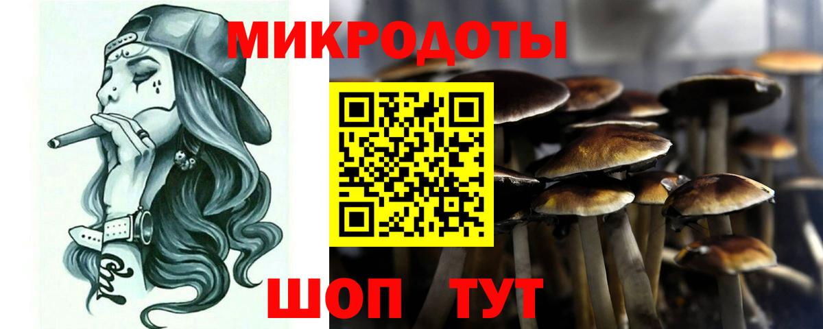 Галлюциногенные грибы Psilocybine cubensis Протвино